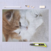 (Feline Fancy) Kat Overpeinzing: Kat Foto Tissuepapier (Craft)