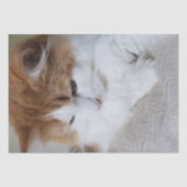 (Feline Fancy) Kat Overpeinzing: Kat Foto Tissuepapier (Voorkant)