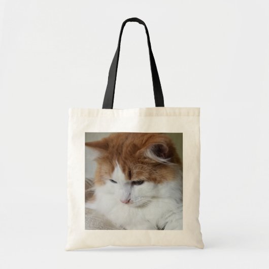 (Feline Fancy) Kat Overpeinzing: Kat Foto Tote Bag (Voorkant)