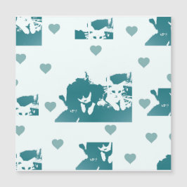 Feline Friends. Adorable Kitten Duo.