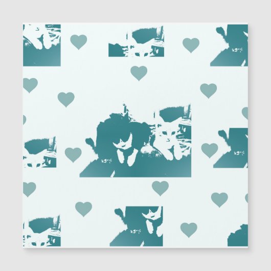 Feline Friends. Adorable Kitten Duo. (Voorkant)