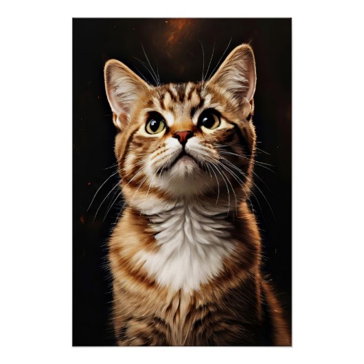 Feline Gaze Perfect Poster (Voorkant)