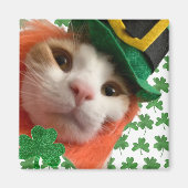 Feline Lucky? Magneet (Voorkant)