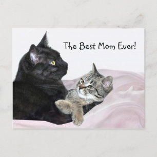 Feline Moederdag Briefkaart