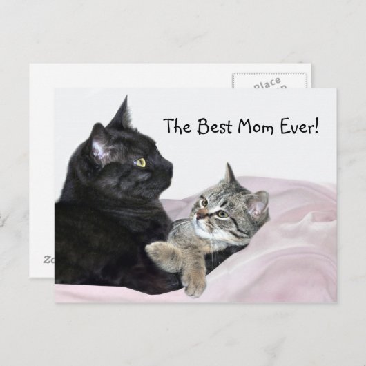 Feline Moederdag Briefkaart (Voorkant / Achterkant)