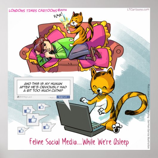 Feline Social Media Funny Poster (Voorkant)