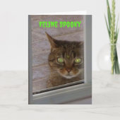 Feline Spooky Cat Halloween Kaart (Voorkant)