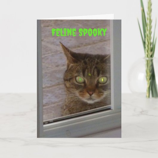 Feline Spooky Cat Halloween Kaart (Voorkant)