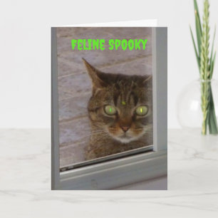 Feline Spooky Cat Halloween Kaart