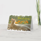 Feline Sympathy Card Kaart (Voorkant)