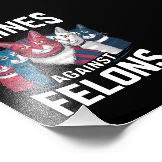 Felines tegen misdadigers foto afdruk (Hoek)