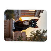 Felini bezoekt het Parthenon: een Griekse Odyssee Magneet (Horizontaal)