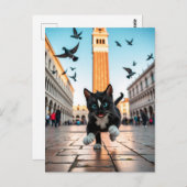 Felini vs. Pigeons: een Venetiaanse achtervolging Briefkaart (Voorkant / Achterkant)