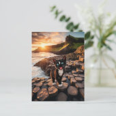 Felini's Ierse avontuur - De Giant's Causeway Briefkaart (Staand voorkant)