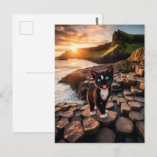 Felini's Ierse avontuur - De Giant's Causeway Briefkaart (Voorkant / Achterkant)