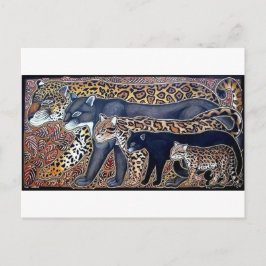 Felinos de Costa Rica - Grote katten Briefkaart
