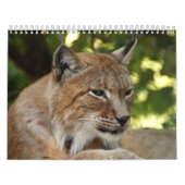 Felins kalender (Hoes)