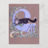 Felis Illumine Briefkaart (Voorkant)