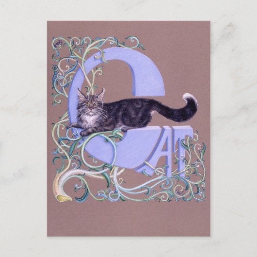 Felis Illumine Briefkaart (Voorkant)