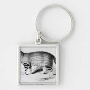 Felis Pajeros, bord 9 Sleutelhanger