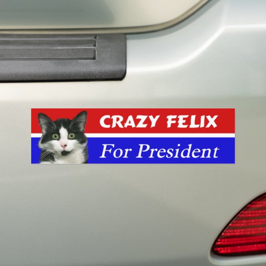 Felix de kat voor de Bumpersticker van het Preside (Op auto)