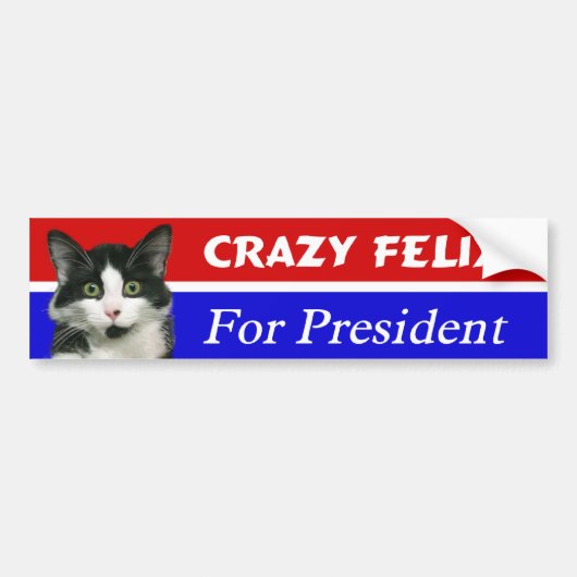 Felix de kat voor de Bumpersticker van het Preside (Voorkant)