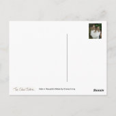 Felix in Doordacht Wijze Briefkaart (Achterkant)