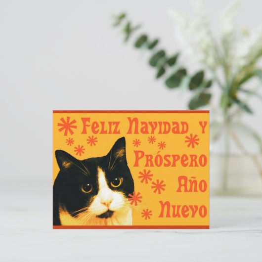 Felix Navidad Briefkaart (Staand voorkant)