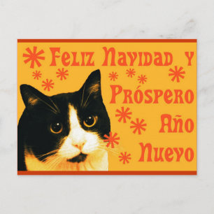 Felix Navidad Briefkaart