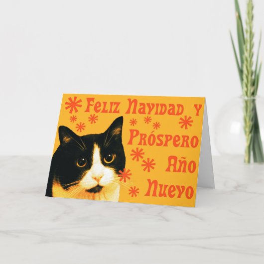 Felix Navidad Feestdagen Kaart (Voorkant)