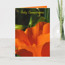 Feliz Cumpleaños - Amapola DE Californië Kaart