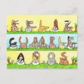 Feliz Cumpleaños Bunnies Briefkaart (Voorkant)