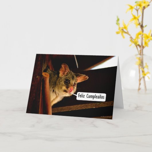 Feliz Cumpleaños Spaanse verjaardag met possum Kaart (Gele Bloem)