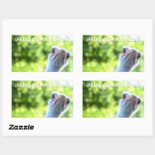 Feliz cumpleaños, Spaanse verjaardag Rechthoekige Sticker (Vel)