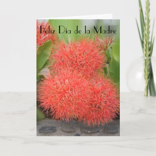 Feliz Dia de la Madre 18 Kaart (Voorkant)