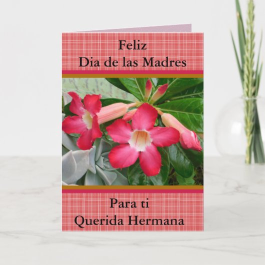 Feliz Dia de las Madres Querida Hermana 321 Kaart (Voorkant)