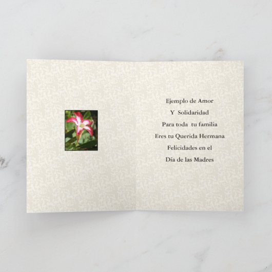 Feliz Dia de las Madres Querida Hermana Kaart (Binnen)