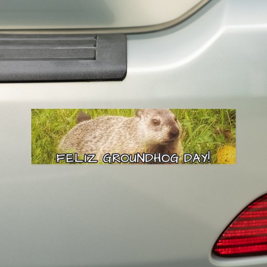 Feliz Groundhog Day: bumpersticker (Op auto)