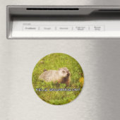 Feliz Groundhog Day! magneet (Insitu (Vaatwasser))