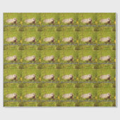 Feliz Groundhog Day: verpakkingspapier Cadeaupapier (Vlak)