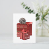 Feliz Natal Korthaired pointer Chistmas Briefkaart (Staand voorkant)