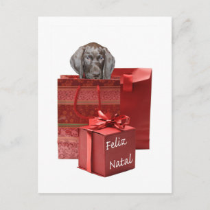 Feliz Natal Korthaired pointer Chistmas Briefkaart