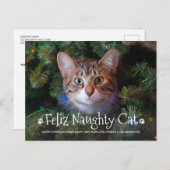 Feliz Naughty Cat Funny Personalized Pet Photo Hol Briefkaart (Voorkant / Achterkant)