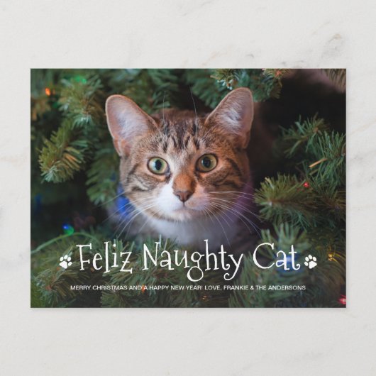 Feliz Naughty Cat Funny Personalized Pet Photo Hol Briefkaart (Voorkant)