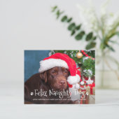 Feliz Naughty Dog Funny Personalized Pet Photo Hol Briefkaart (Staand voorkant)