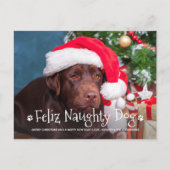 Feliz Naughty Dog Funny Personalized Pet Photo Hol Briefkaart (Voorkant)