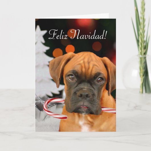 Feliz Navidad Boxer Dog wenskaart Feestdagen Kaart (Voorkant)