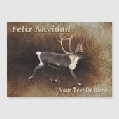 Feliz Navidad - Bull Cariou (rendier) (Voorkant)