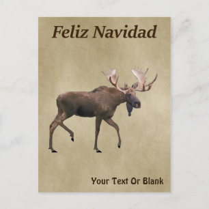 Feliz Navidad - Bull Moose op oud papier Briefkaart