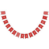 Feliz Navidad Bunting Flags Vlaggetjes (Alle)